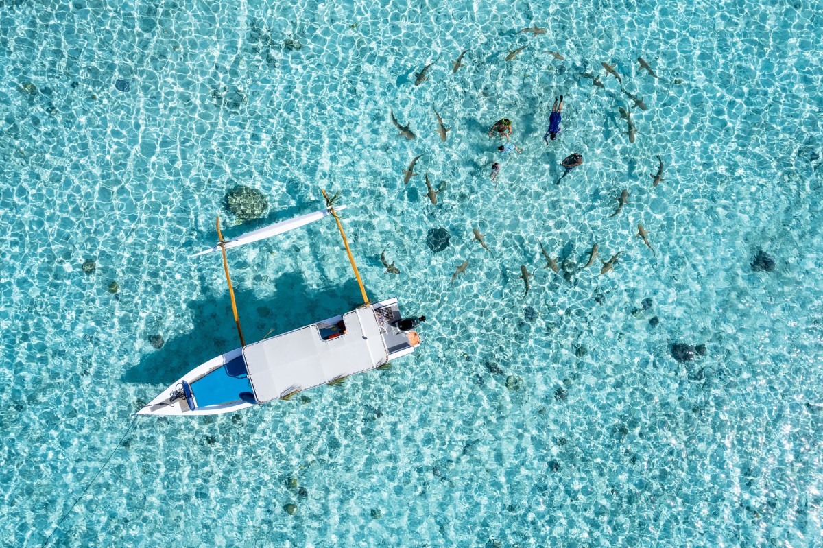 La pirogue, entre lagon et récif